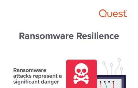 Ransomware Protection and Recovery Infographic